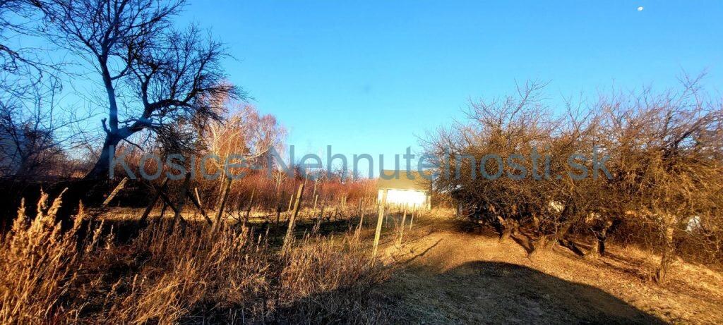 Pozemok 627 m2 v chatárskej oblasti Sečovce smer Dargov — foto 8