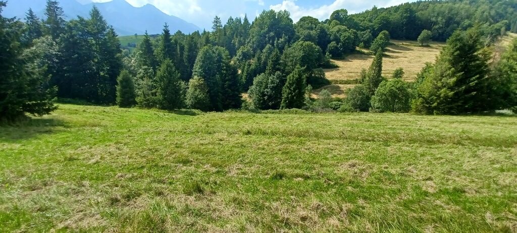 Pozemky na predaj v obci Ždiar spolu 20.500 m2 rôzne polohy, rôzne ceny — foto 7