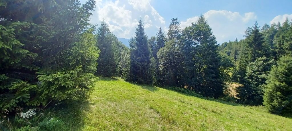 Pozemky na predaj v obci Ždiar spolu 20.500 m2 rôzne polohy, rôzne ceny — foto 8