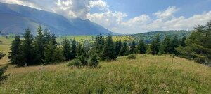 Pozemky na predaj v obci Ždiar spolu 20.500 m2 rôzne polohy, rôzne ceny — foto 5