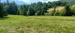 Pozemky na predaj v obci Ždiar spolu 20.500 m2 rôzne polohy, rôzne ceny — foto 7