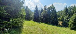 Pozemky na predaj v obci Ždiar spolu 20.500 m2 rôzne polohy, rôzne ceny — foto 8