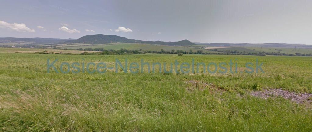 Predaj pozemok Drienov 4000 m2 parcela E trvalý trávny porast — foto 3