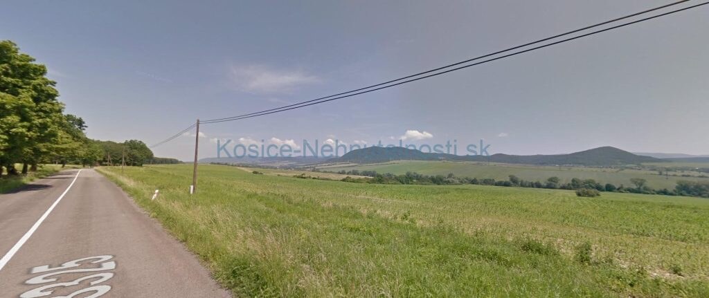 Predaj pozemok Drienov 4000 m2 parcela E trvalý trávny porast — foto 4