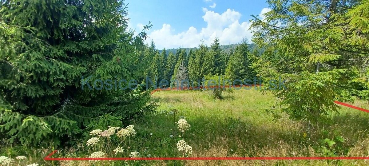 Pozemok na predaj 304 m2 Ždiar