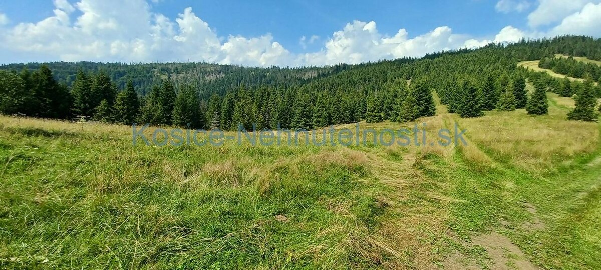Pozemok na predaj 304 m2 Ždiar — foto 3