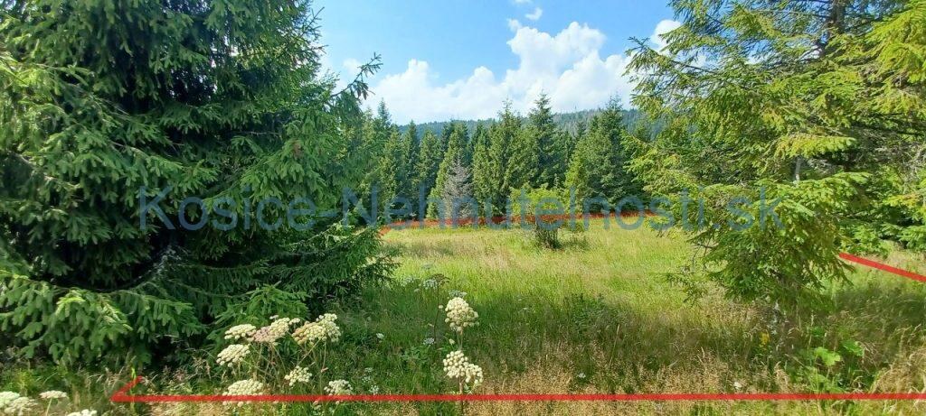 Pozemok na predaj 304 m2 Ždiar — foto 9