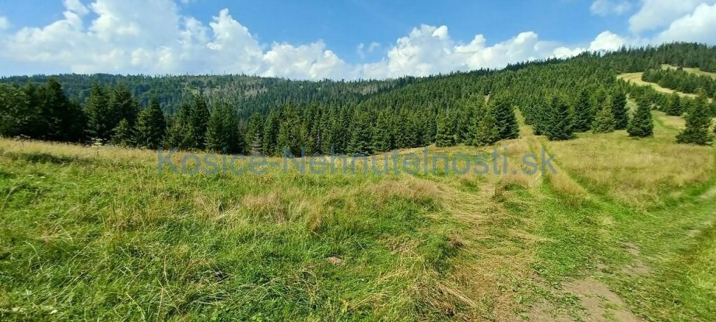 Pozemky 8445 m2 v Belianskych Tatrách Ždiar — foto 10