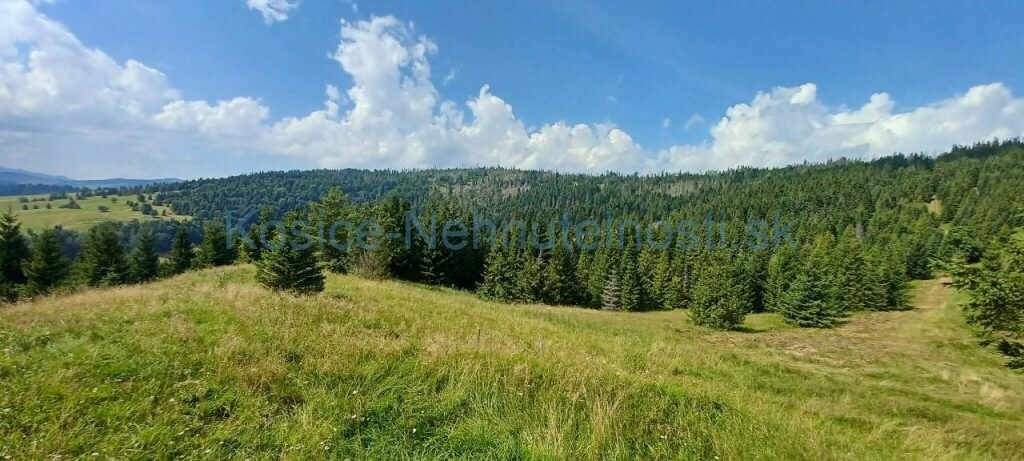 Pozemky 8445 m2 v Belianskych Tatrách Ždiar — foto 15