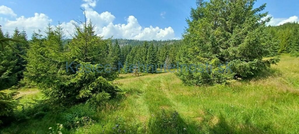 Pozemky 8445 m2 v Belianskych Tatrách Ždiar — foto 2
