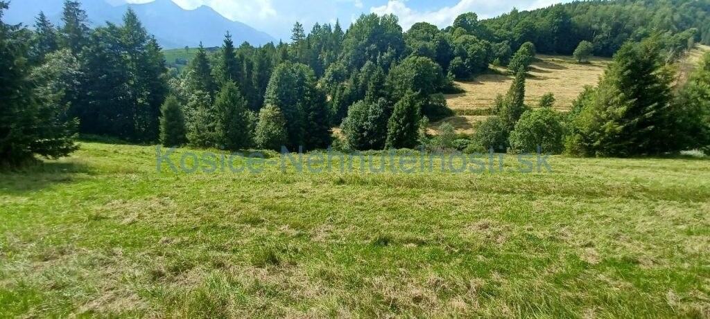 Pozemky 8445 m2 v Belianskych Tatrách Ždiar — foto 7