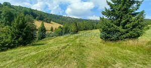Pozemky 8445 m2 v Belianskych Tatrách Ždiar — foto 5