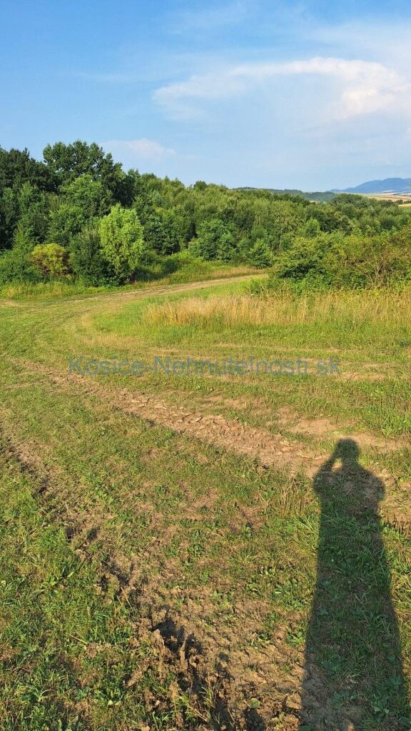 Predaj pozemok 3030 m2 Malý Šariš - okres Prešov — foto 3