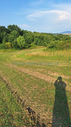 Predaj pozemok 3030 m2 Malý Šariš - okres Prešov — foto 3