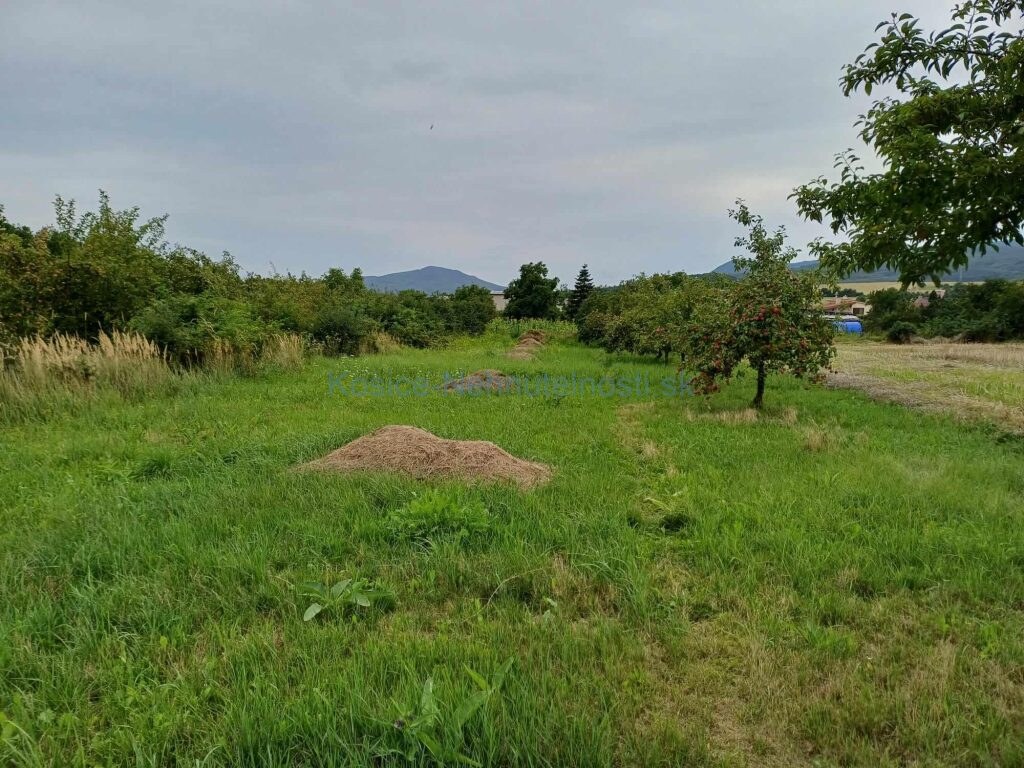 Predaj pozemok v obci Slivník okres Trebišov — foto 3