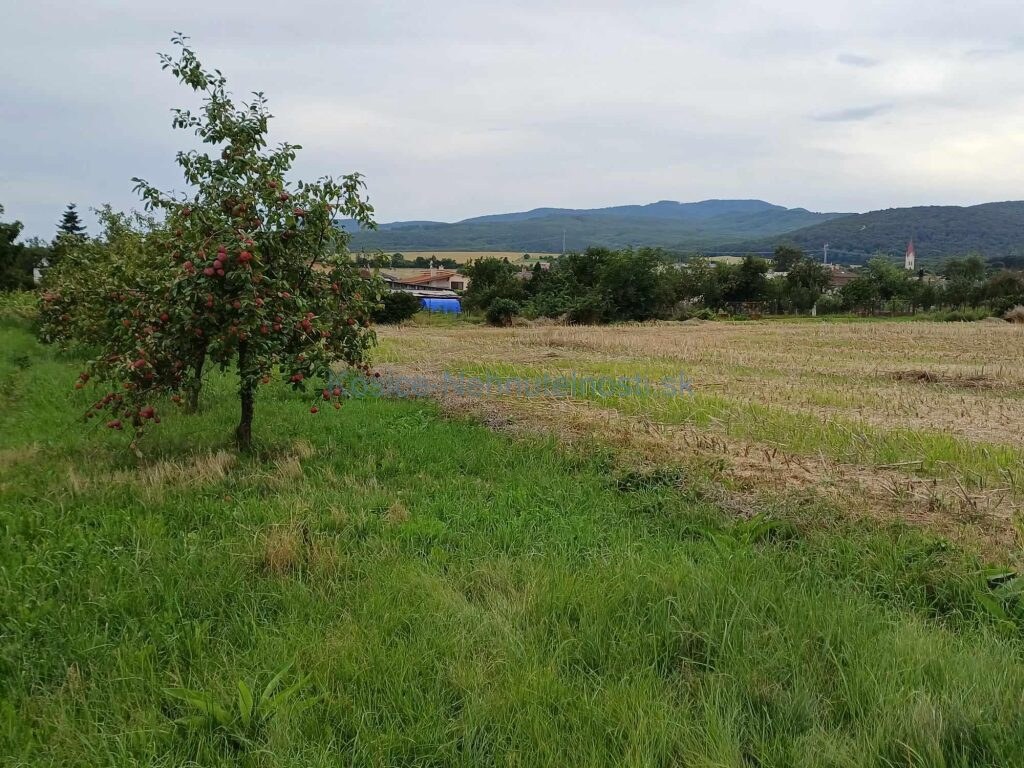 Predaj pozemok v obci Slivník okres Trebišov — foto 5