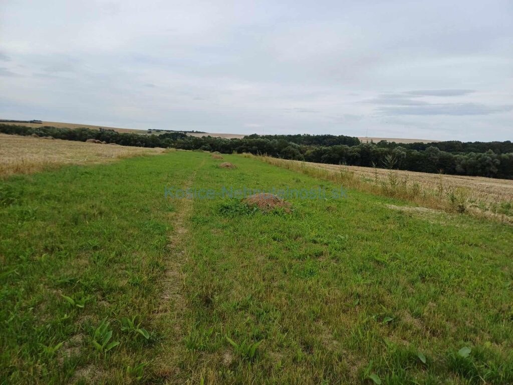 Predaj pozemok v obci Slivník okres Trebišov — foto 6