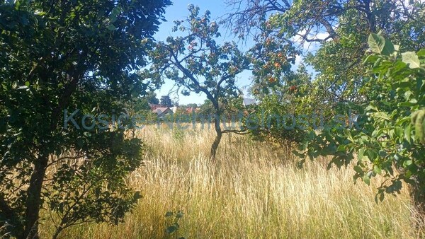 Stavebná parcela 1281m2 intravilán, Malé Ozorovce, okr. Trebišov