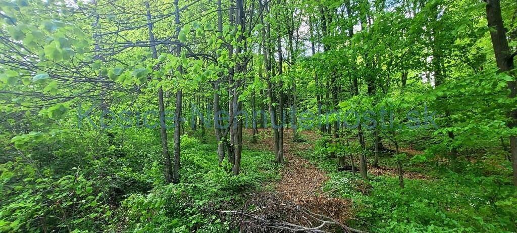 Predaj chata 40 m2 s pozemkom 2000 m2 Nižný Klátov pri meste Košice — foto 37