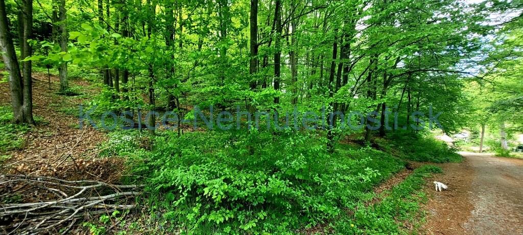 Predaj chata 40 m2 s pozemkom 2000 m2 Nižný Klátov pri meste Košice — foto 38