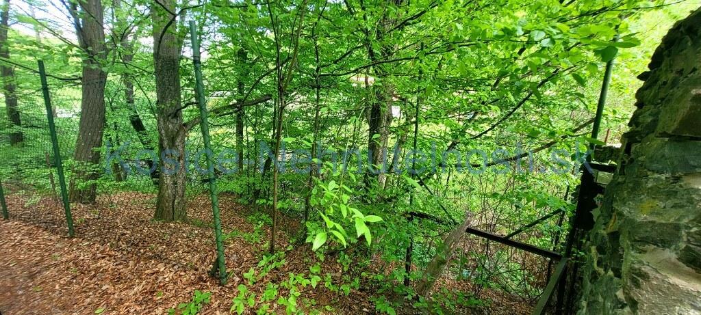 Predaj chata 40 m2 s pozemkom 2000 m2 Nižný Klátov pri meste Košice — foto 41
