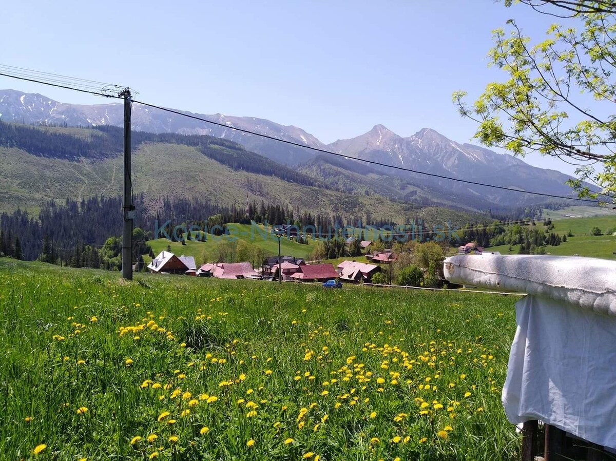 ZNÍŽENÁ CENA Z 360000 EUR - Chalupa na predaj Ždiar s pozemkami celkom 6563 m2