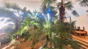 Podnikateľský objekt 3240 m2  Veľké Kapušany — foto 2